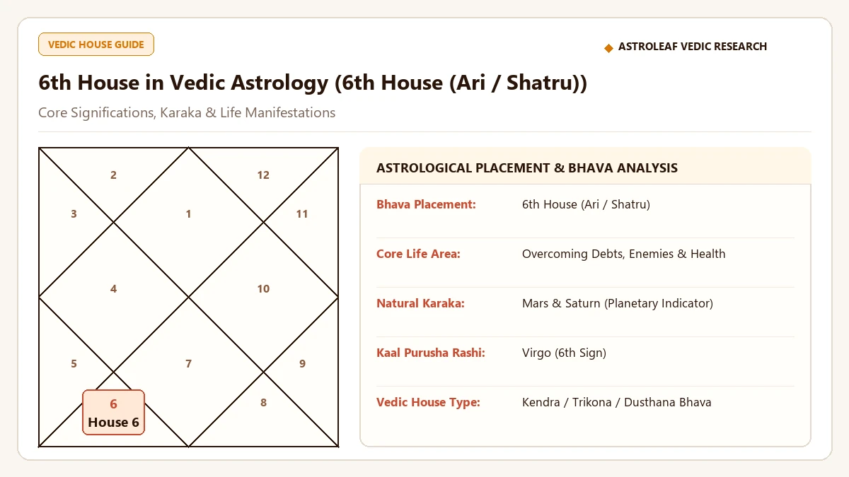 6th House in Vedic Astrology: Diseases, Debts, Enemies & Daily Routine - वैदिक ज्योतिष इन्फोग्राफिक एवं जन्म कुंडली विश्लेषण